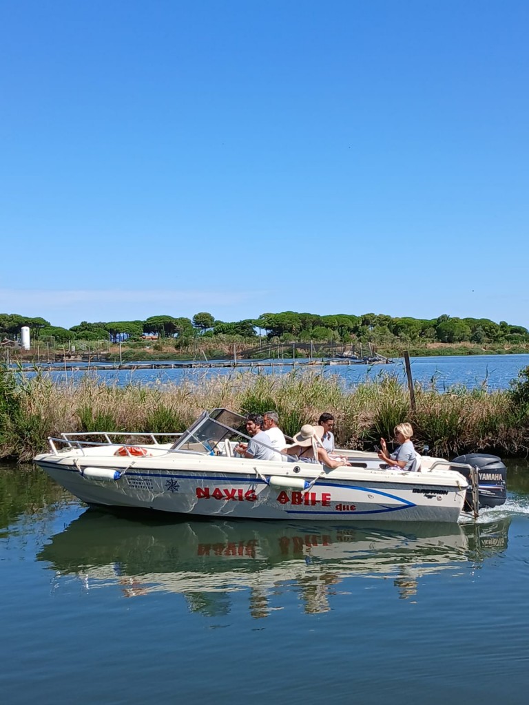 immagine-whatsapp-2025-07-30-ore-19-29-08_b5076ec9